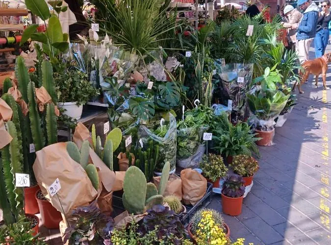 Large 2br Sunny 20 Meter Terrace Parking Shops